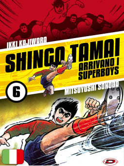 Arrivano i Superboys 6