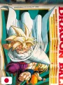 Weekly Shonen Jump 5-6 1993 - All Shonen (Cover Mangaka) + Poster Gohan