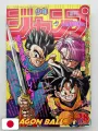 Weekly Shonen Jump 28 1994 - Dragon Ball (Prima Apparizione Goku SSJ3) - RANK C
