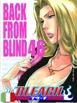 Bleach 46