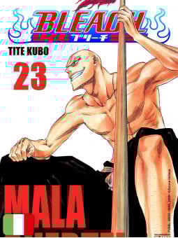 Bleach 23