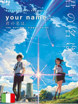Your Name Visual Book