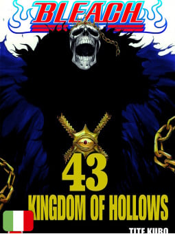 Bleach 43