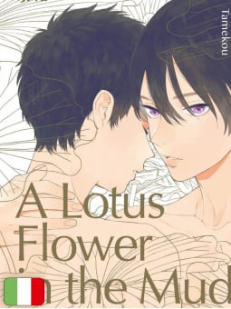 A Lotus Flower In The Mud