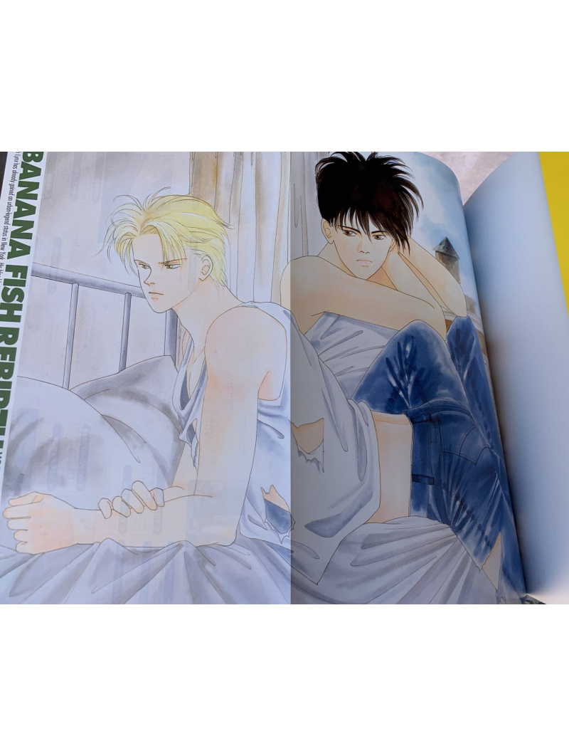 Banana Fish Official GuideBook Rebirth Perfect Edition Edizione G...