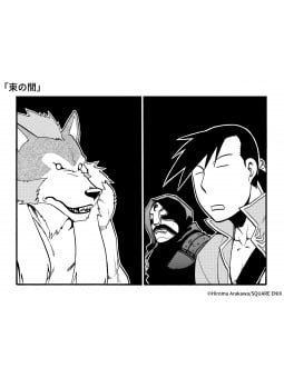 Fullmetal Alchemist - 20th Anniversary Book - Edizione Giapponese