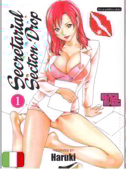 Secretarial Section Drop 1