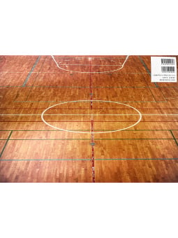 Slam Dunk 10 Days After - Edizione Giapponese