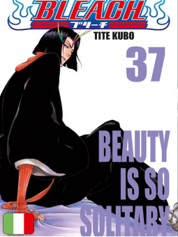 Bleach 37