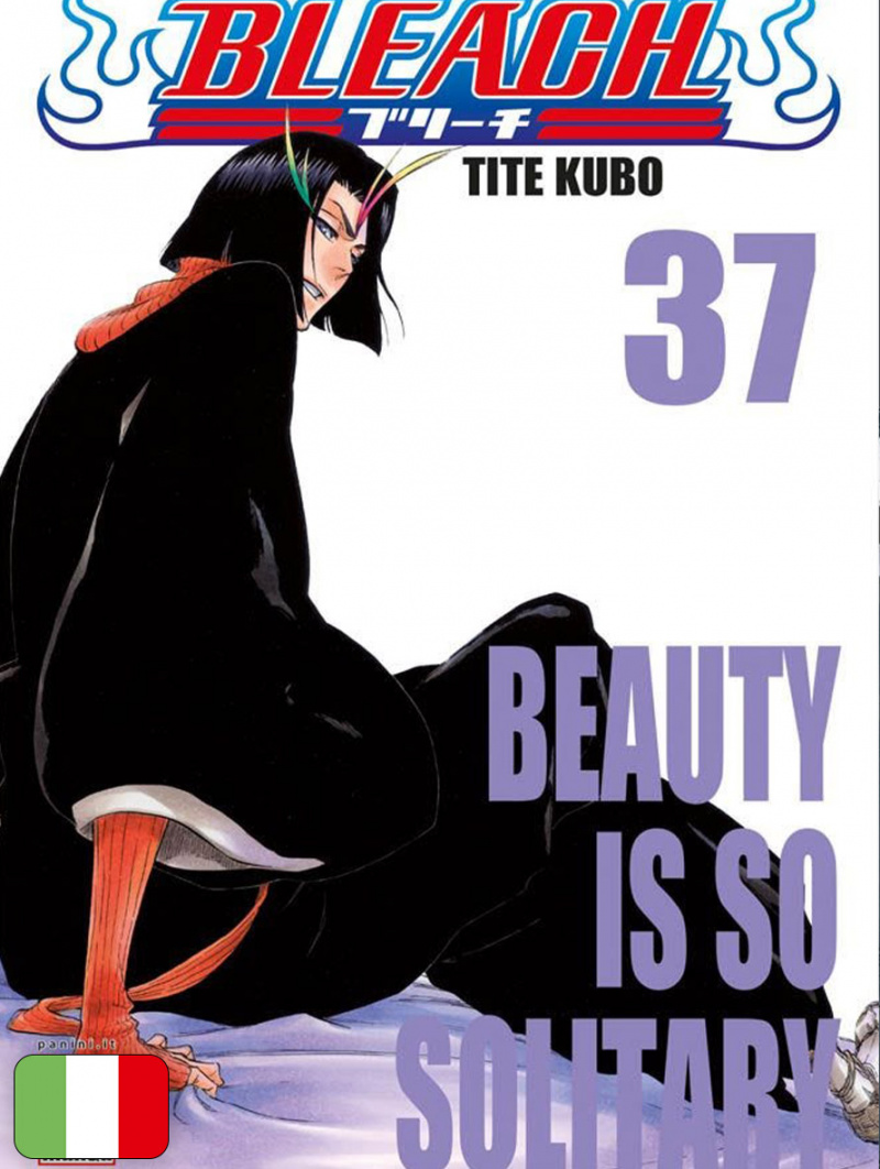 Bleach 37