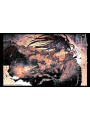 Dororo Fuka Setsugetsu - Hiroyuki Asada Tezuka Album - Edizione Giapponese