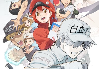 Akane Shimizu racconta gli abusi subiti durante la serializzazione di Cells at Work!
